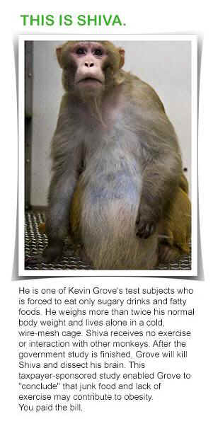 vivisection taxpayer fraud waste
