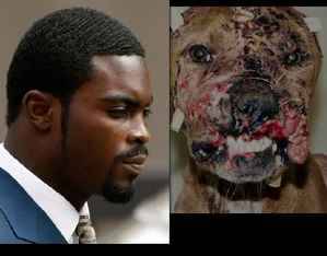 michael vick