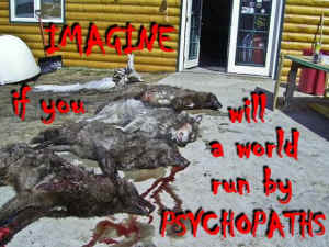 killing wildlife dead wolves psychopaths