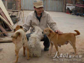 dog cat rescue Mr. Chen Chinese activists