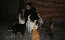 dog cat rescue Mr. Chen Chinese activists