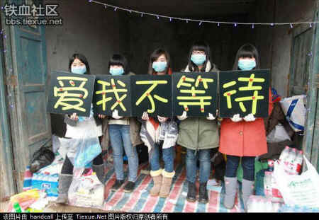 dog cat rescue Mr. Chen Chinese activists