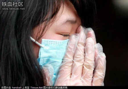 dog cat rescue Mr. Chen Chinese activists