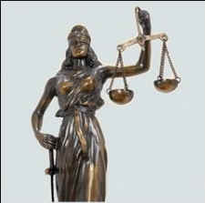 nonhuman rights project blind justice