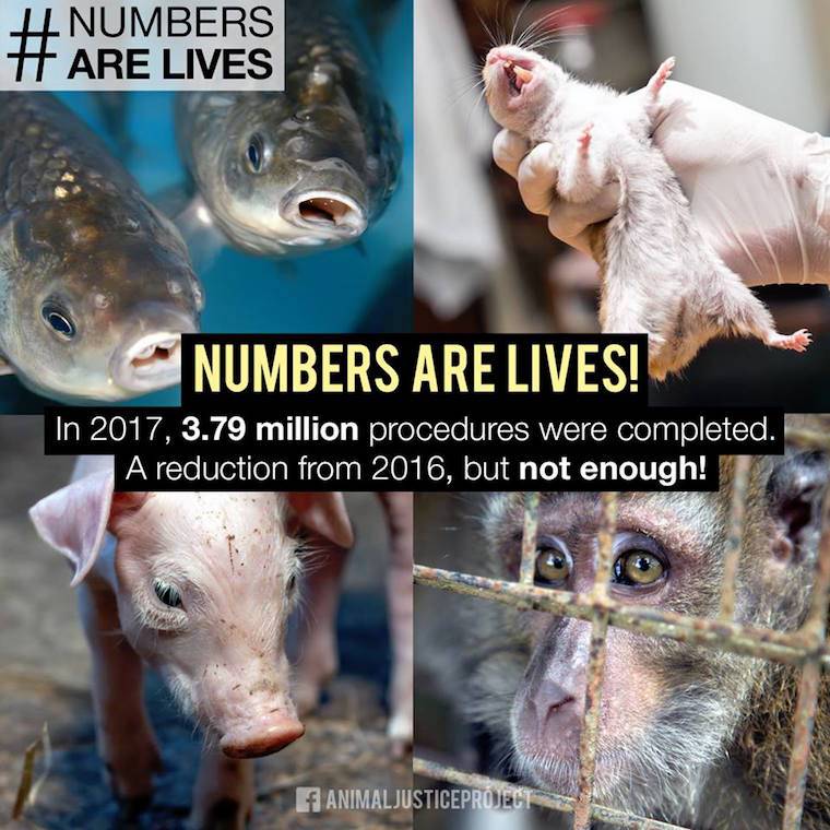 British vivisection