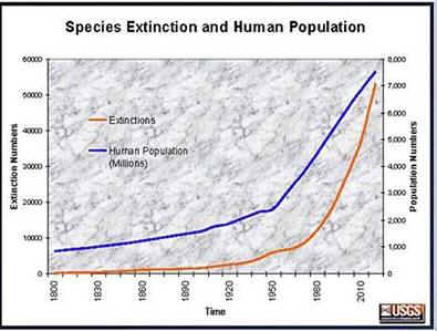 species extinction