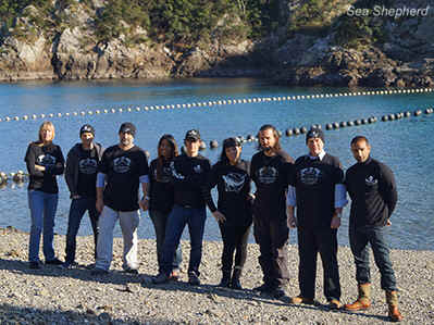Sea Shepherd Taiji dolphin