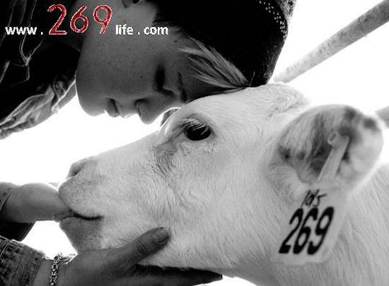 269 life