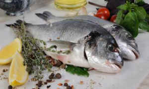 killing fish fishing