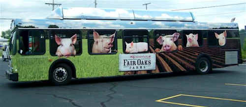 pig adventure glorify factory farming