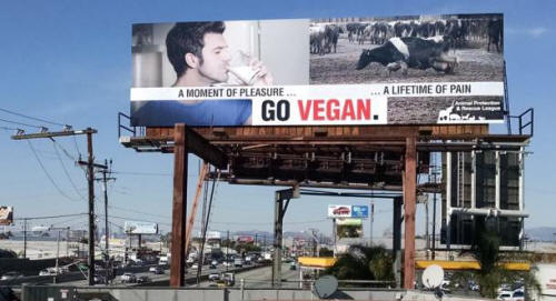 pleasure pain veganism