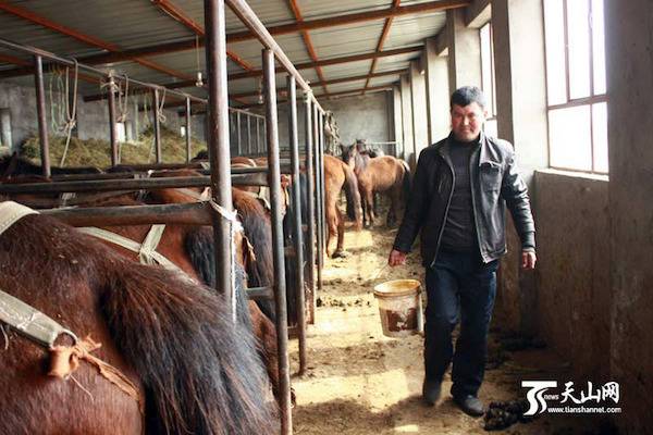 pmu farm
