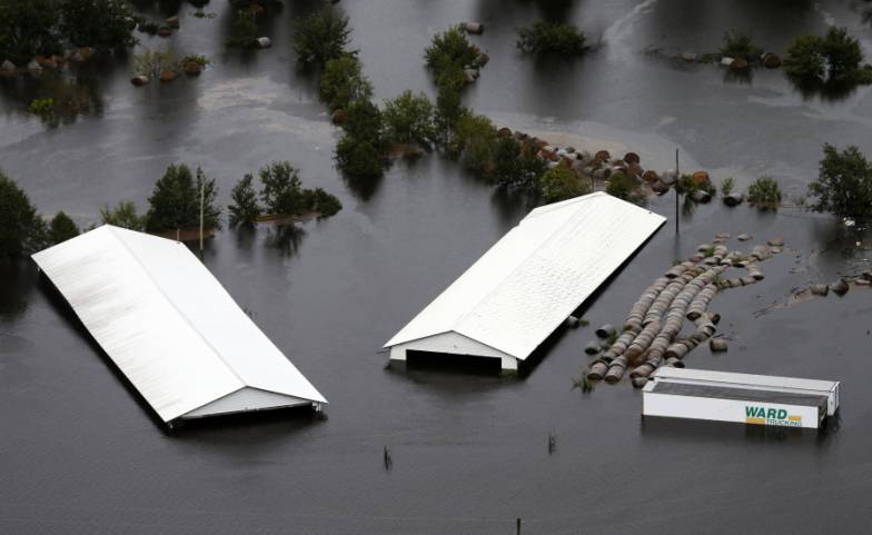 factory farm floods