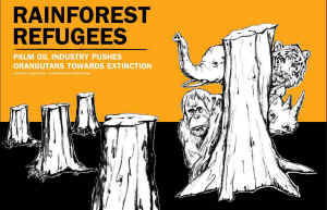 palm oil rainforest refugees