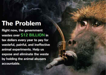 vivisection smoking monkey