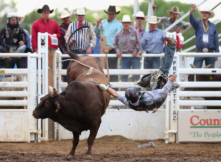 bull riding