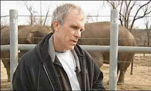 patience elephant zoo John Bradford