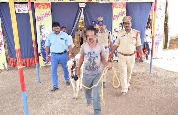 Animals Rescued From New Sam Circus in Anantapur, India - An Animal Rights  Article from 