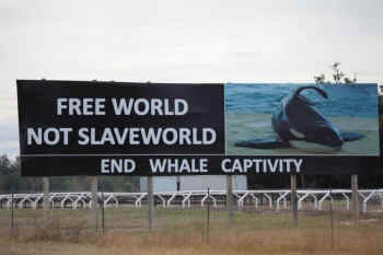 seaworld