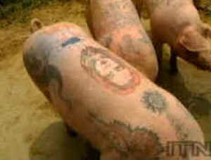 ar-tattoo-01