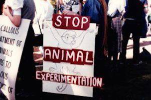 stop animal experiments