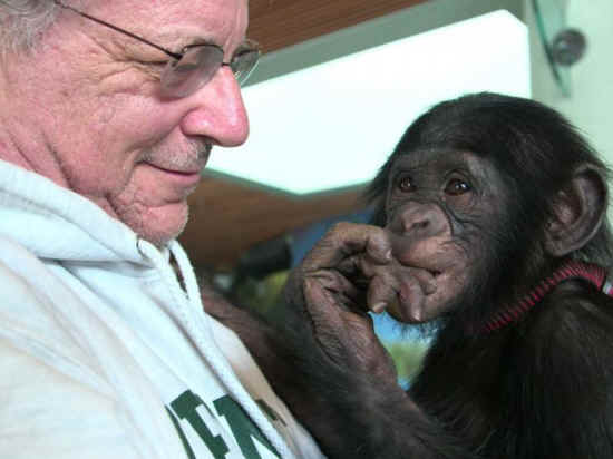 steve wise and chimp