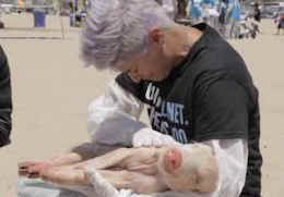 national animal rights day