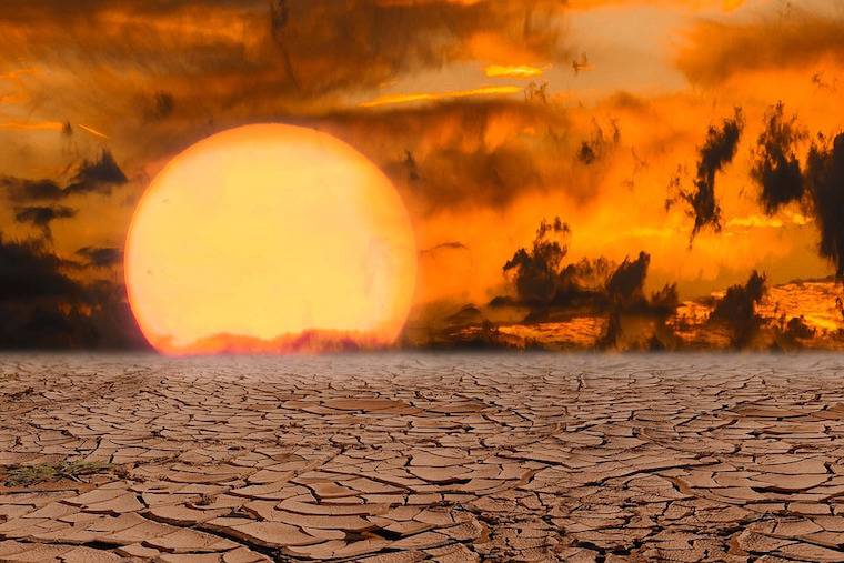 scorched earth