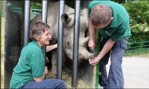 wildlife Damian Aspinall zoo