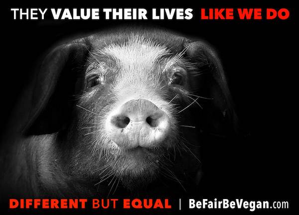 be fair be vegan