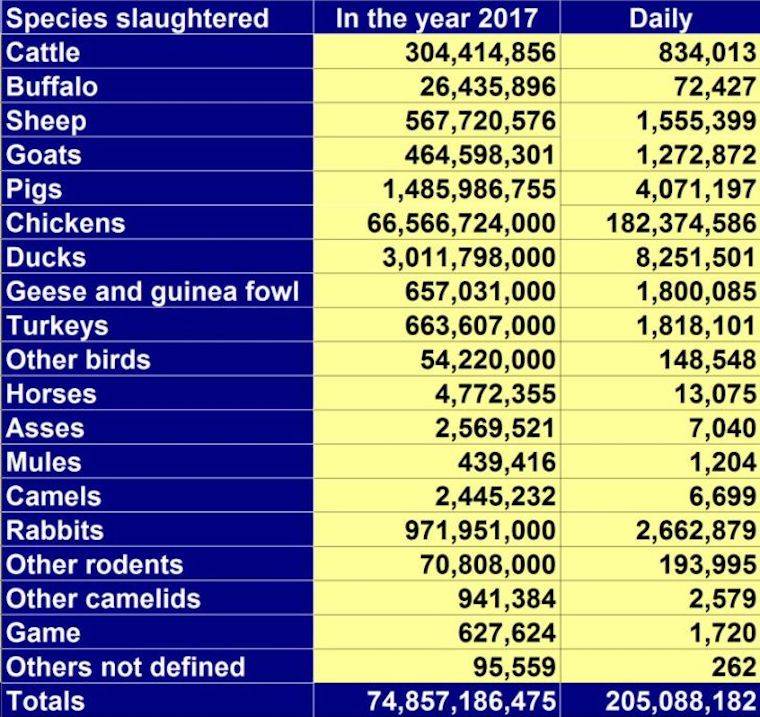 species extinction