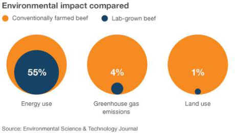 environmental impacts