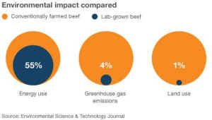 environmental impacts