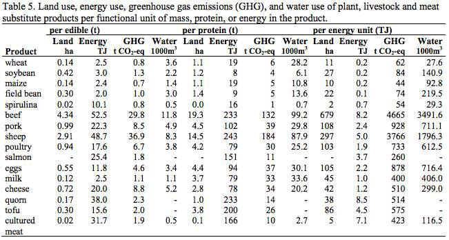 environmental impacts