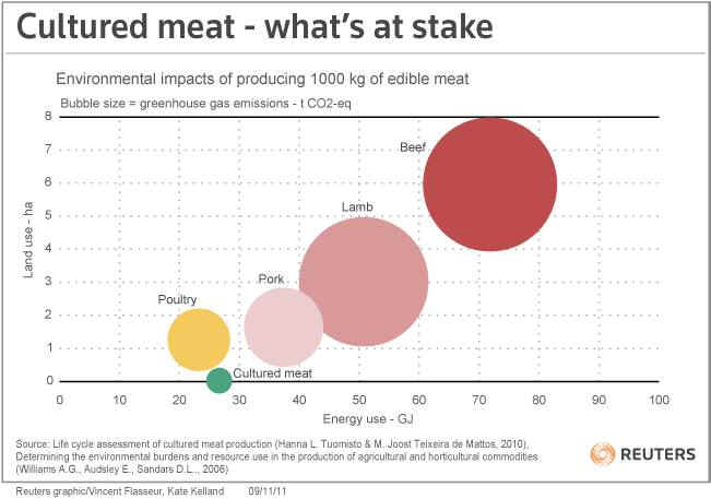 environmental impacts