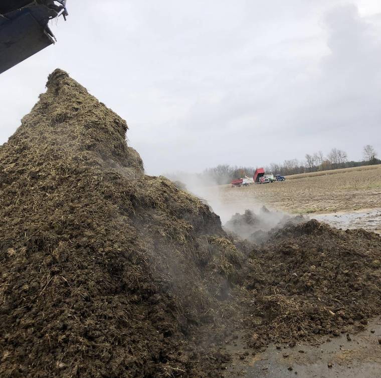 manure pile