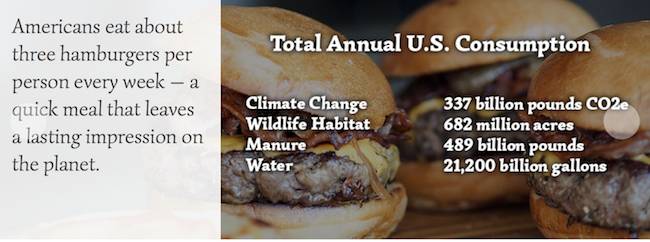 burgers and extinction
