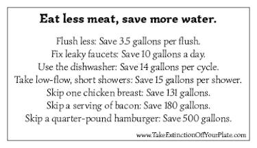 eating animals water usage