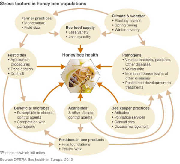 honey bee pesticides acaricides