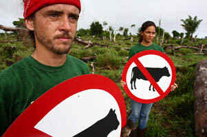 livestock Oppenlander