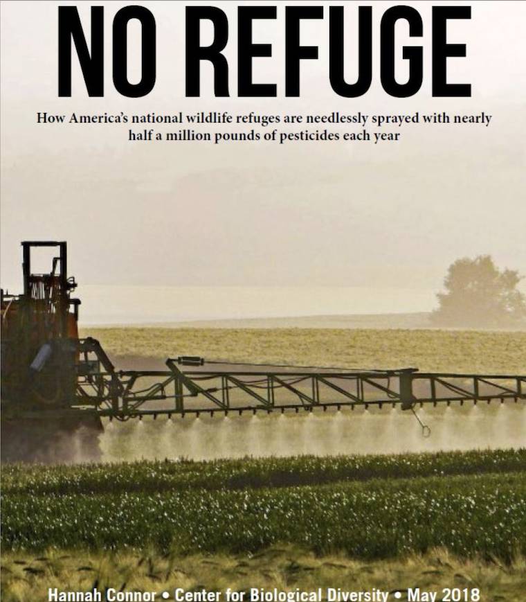 no refuge