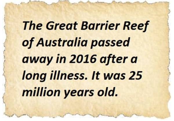 great barrier reef