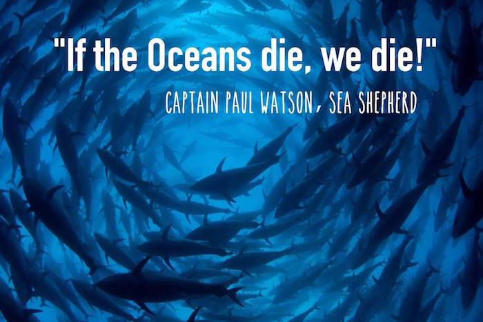 oceans die
