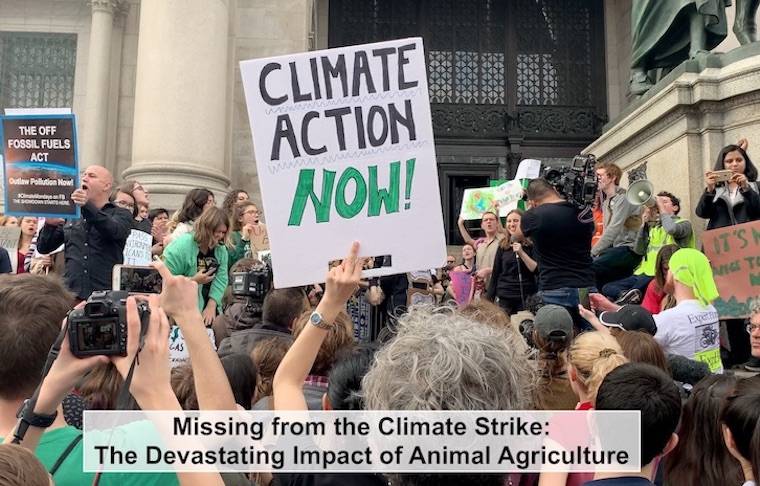 student climate strike