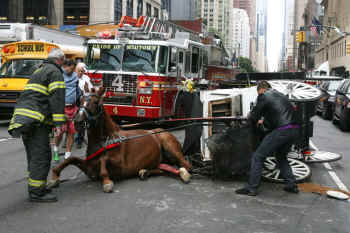 horse-drawn carriage