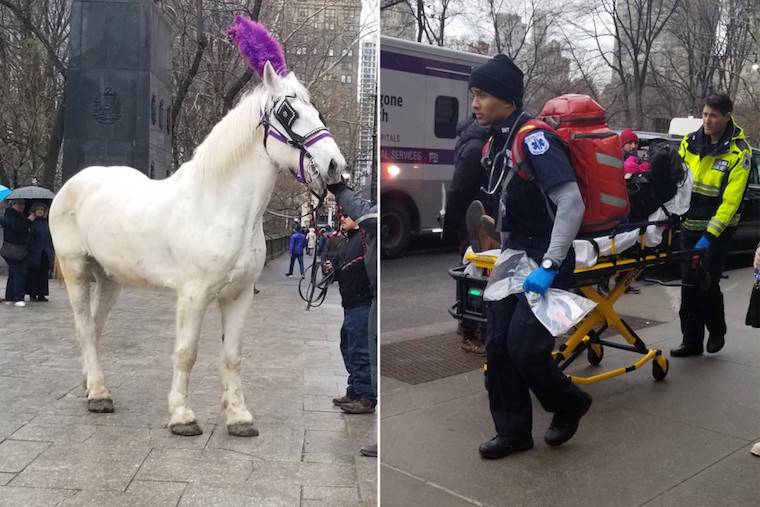 carriage horse accident
