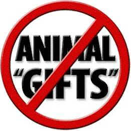 animals as gifts