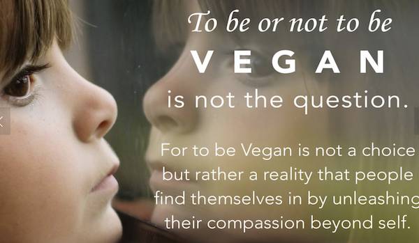 human vegan rghts