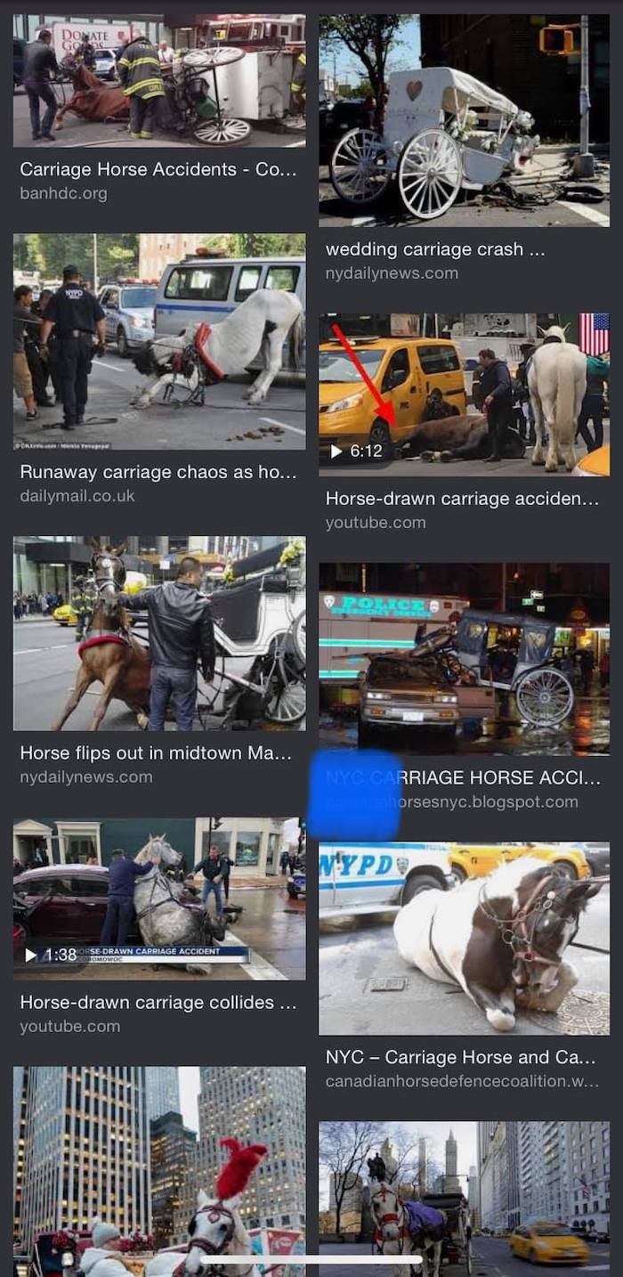 carriage horse accidents