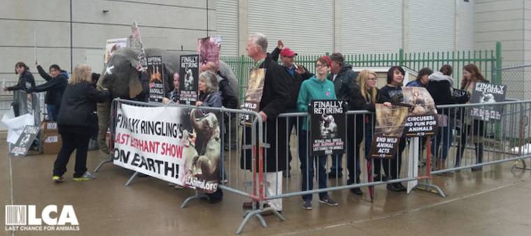 confined protestors